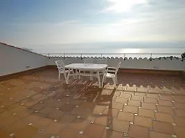 Calamar Blanes